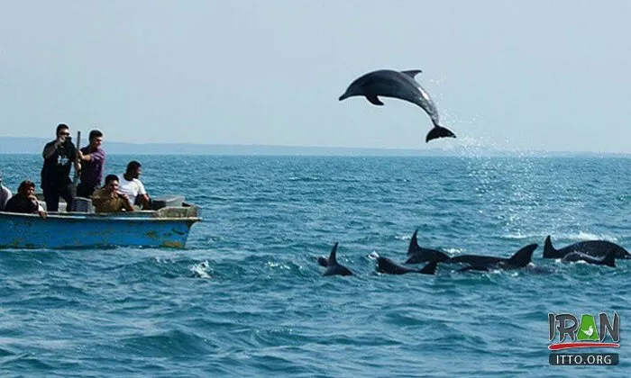 خلیج فارس در قشم