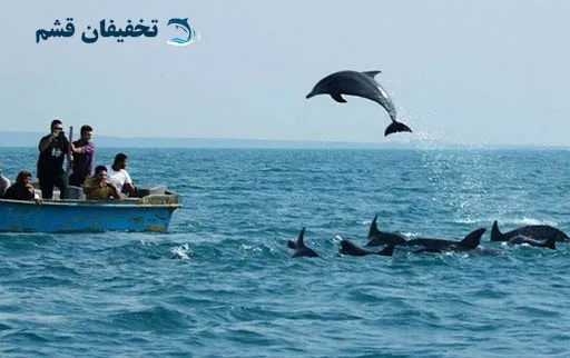 گشت جزیره هنگام