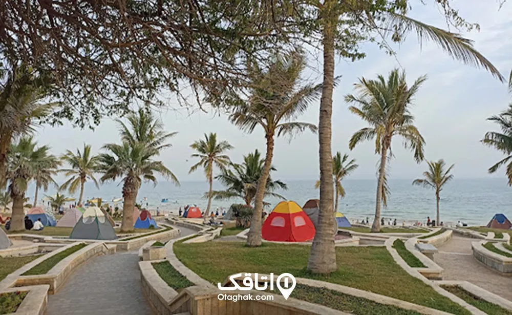 پارک زیتون خانواده