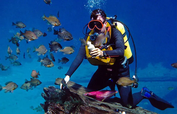 غواصی تفریحی قشم