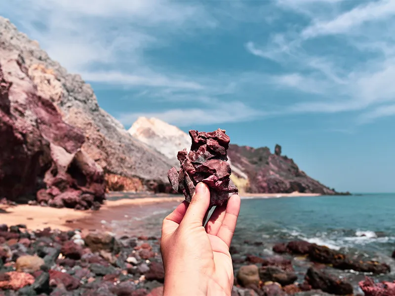 کلوپ دلفین مرجان قشم