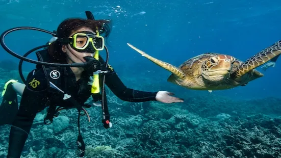 غواصی کودکان قشم