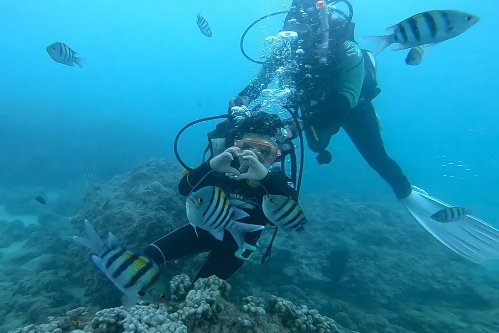 تفریحات قشم بچه‌ها