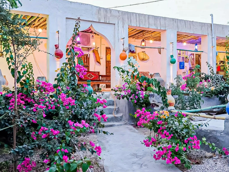 بوم گردی‌های قشم | تجربه‌ای متفاوت از طبیعت و فرهنگ جزیره