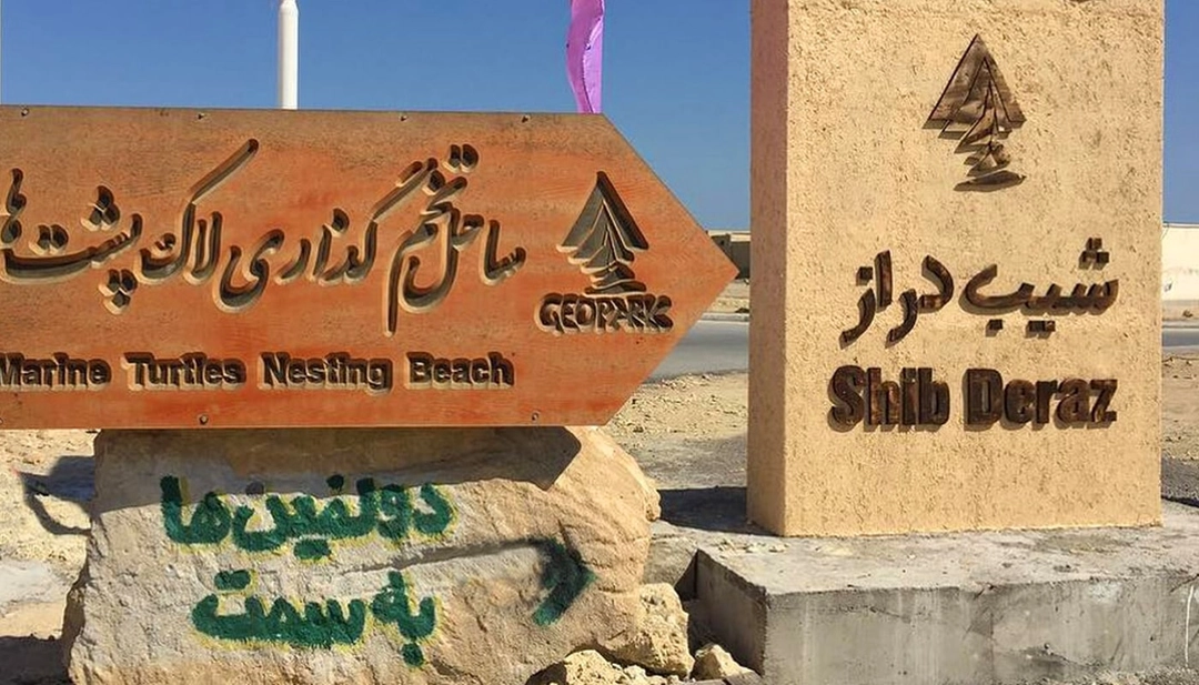 ساحل شیب دراز قشم و محوطه حفاظت لاک پشت منقار عقابی