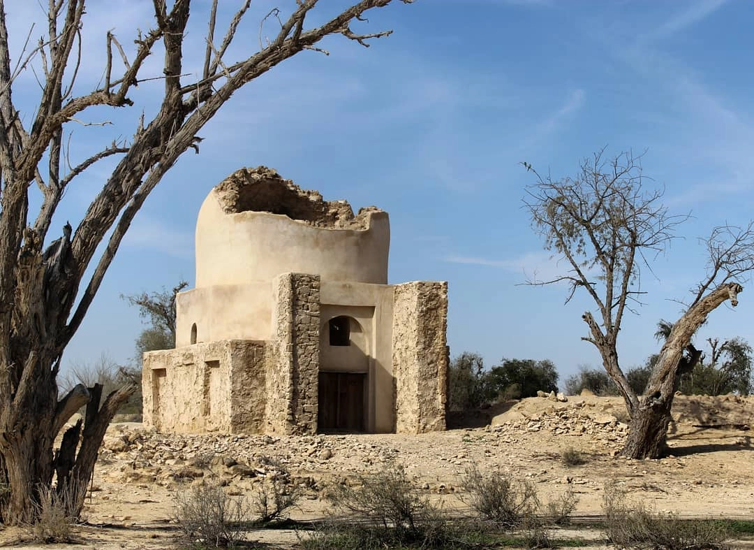 نخلستان و مزارع آفتابگردان در روستای توریان قشم