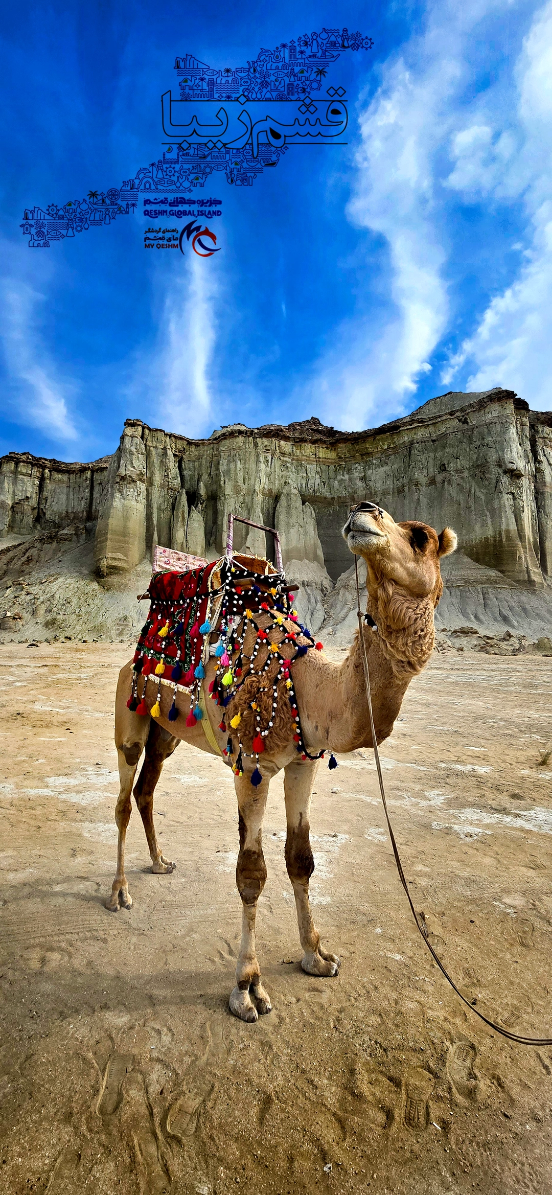 قاب عمودی از تپه های نرم و خطوط موازی جاده تگزاس