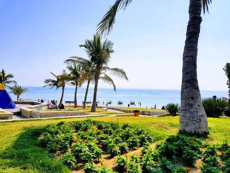 بوستان زیتون و تفریحات ساحلی قشم