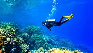 جزایر و مناطق غواصی اطراف قشم