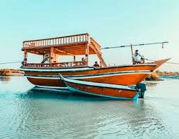 جنگل‌های حرا: گنجینه‌ای از طبیعت