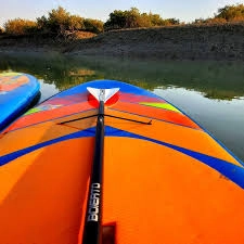 جنگل حرا قشم و مسیرهای پدل برد