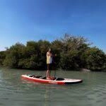 رزرو پدل برد در جنگل حرا قشم