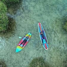 رزرو تور پدل برد جنگل حرا قشم