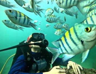 راهنمای تور غواصی