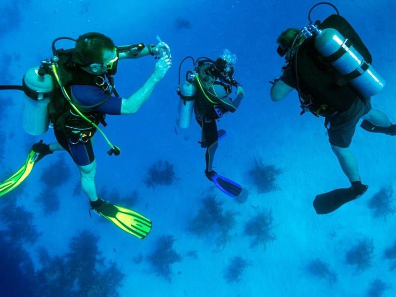 عملیات نجات زیر آب