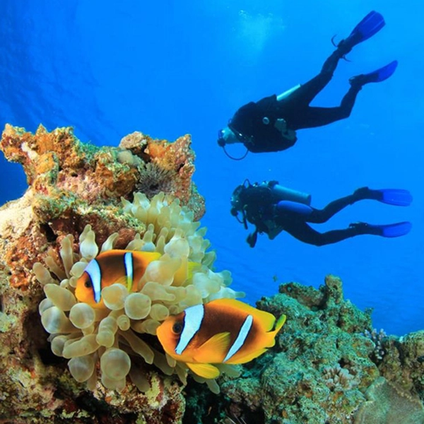 تحقیق علمی زیر آب