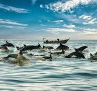 جاذبه های گردشگری قشم