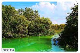 مسیر دسترسی جنگل حرا قشم