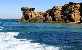 قایق سواری برای دیدن دلفین های هنگام