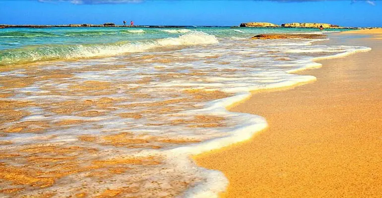 ساحل روشن هنگام پس از گشت دلفین ها