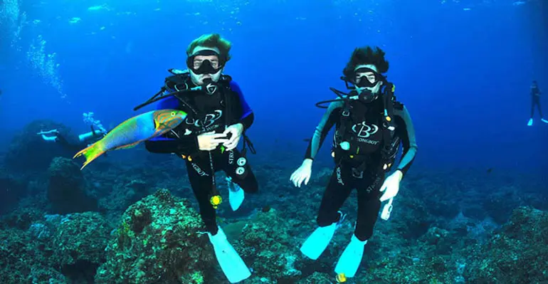 اسنورکلینگ و غواصی سبک در آب های شفاف