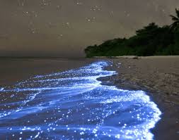 درخشش آب در شب های خاص جزیره هنگام
