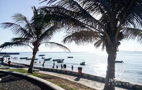 موقعیت مکانی و جذابیت های اطراف پارک زیتون