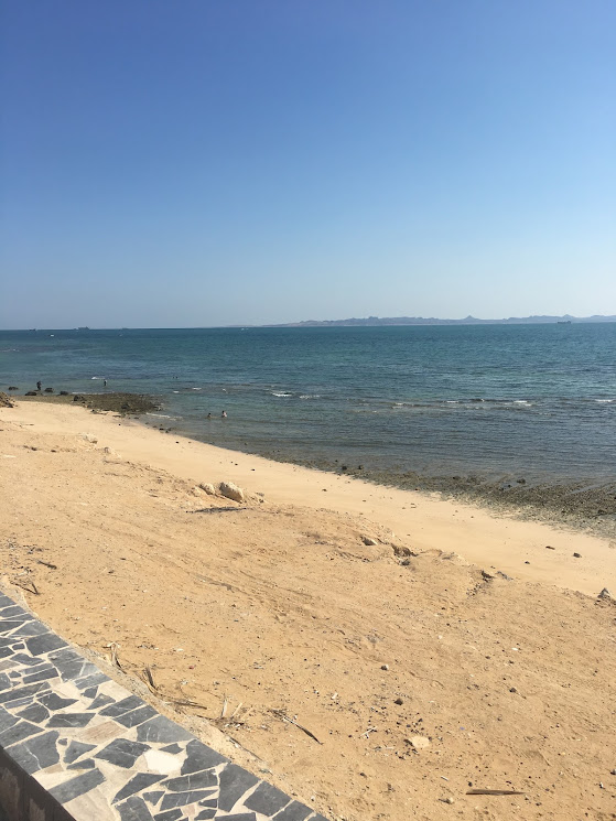 تجربه آرامش بخش در دل طبیعت