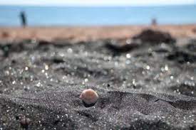 ساحل نقره ای هرمز