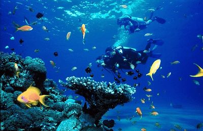 تجهیزات غواصی قشم