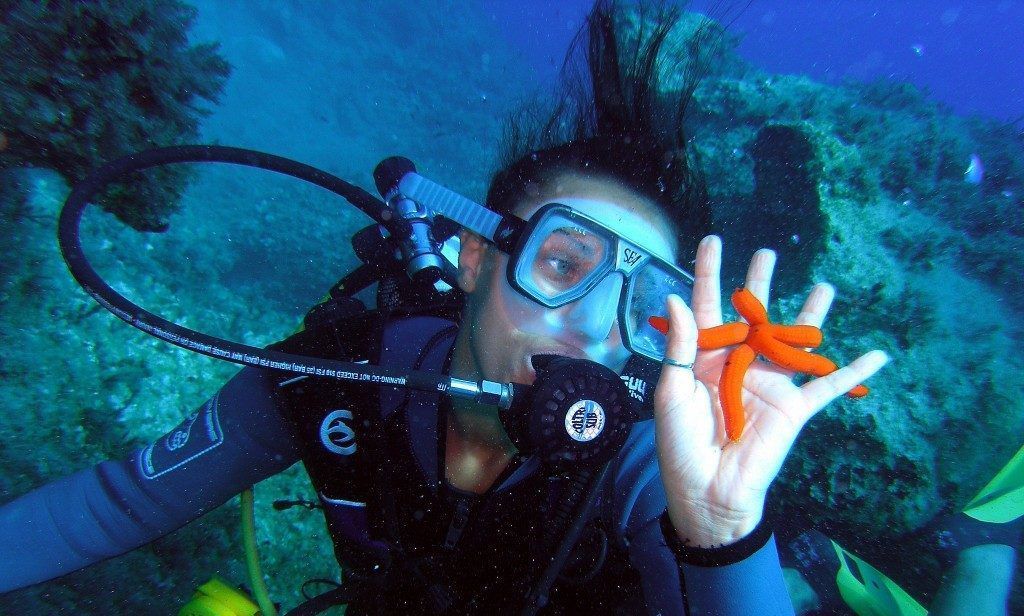 لاک پشت های قشم