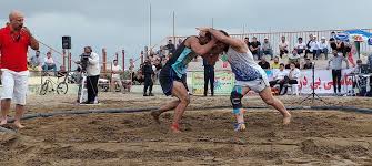 پهلوانی قشم