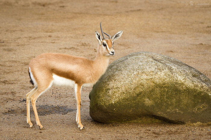 طبیعت گردی مسئولانه در جزیره قشم