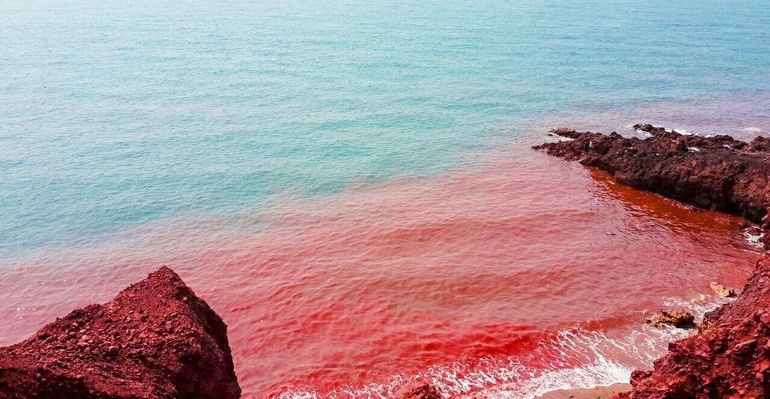 شناورهای مسافربری در مسیرهای جنوب