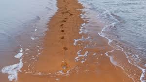 جاذبه های طبیعی ساحل سرنخ