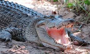 بهترین زمان بازدید