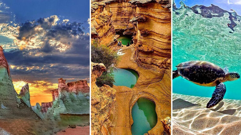 تاثیر زباله گردشگران بر حیات وحش قشم