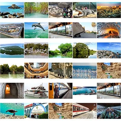 مسافران مسئول و حیات وحش قشم