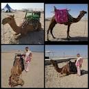 پیش نیازهای ایمنی