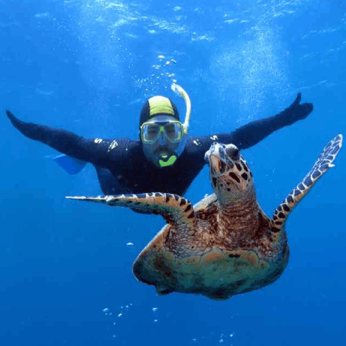 غواص در حال شنا ميان ماهي هاي رنگارنگ در آب هاي قشم