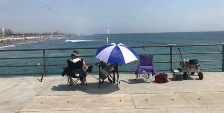 غذاهای محلی با ماهی تازه در قشم