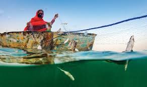 روش های ماهیگیری در جزیره هنگام