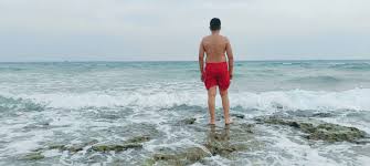 ساحل جنگلهای حرا