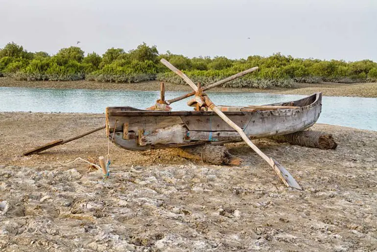 نمایی از روستا و نخلستان در جزیره قشم
