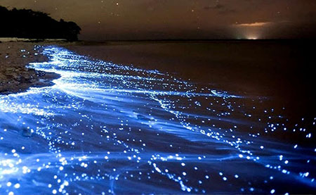 ساحل نقرهای قشم