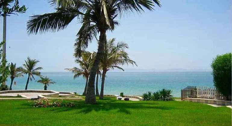 پارک زیتون قشم