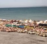 ساحل لافت قشم