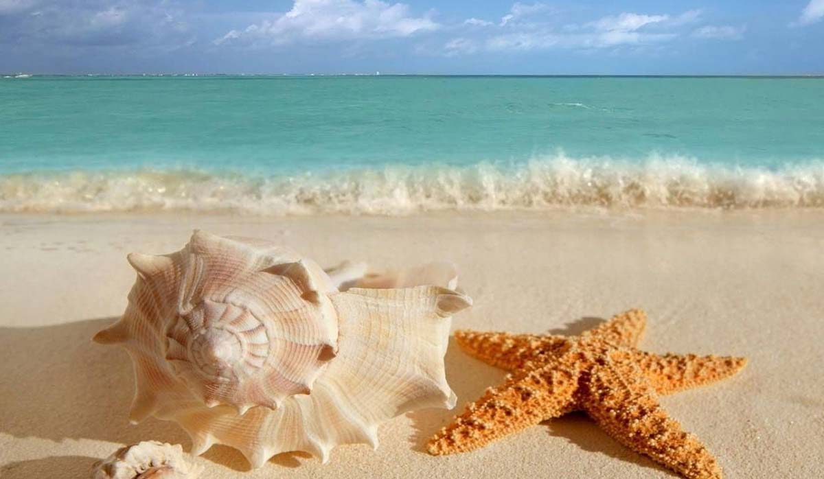 پیاده روی ساحلی در جزیره قشم