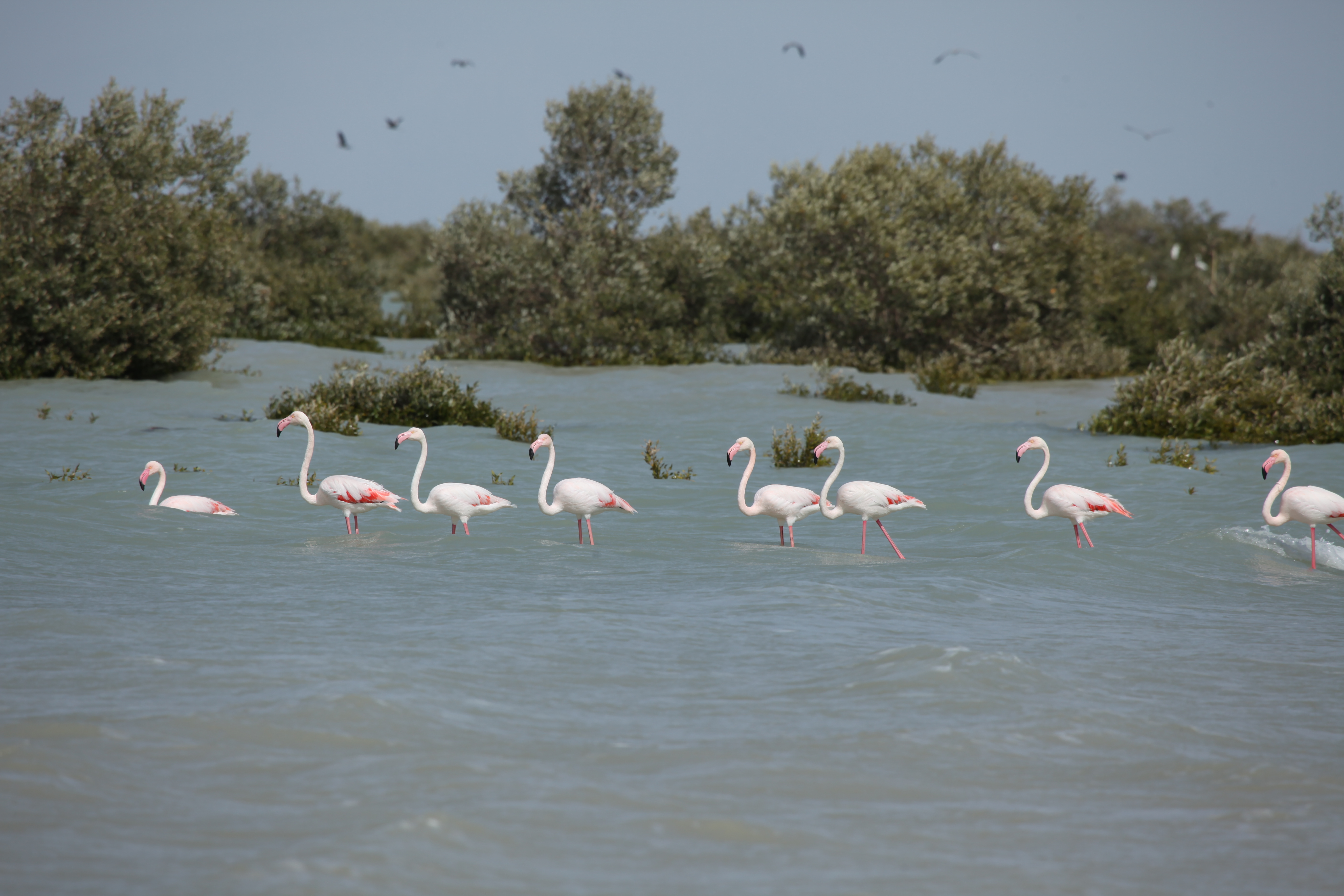 نمایی از لایه ها و سواحل ژئوپارک جهانی قشم