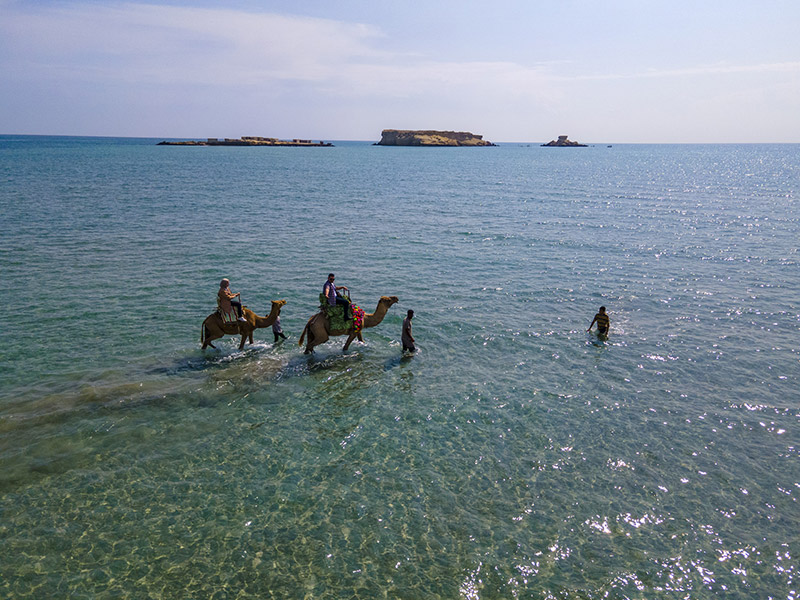 زندگي دريايي و صخره هاي مرجاني اطراف قشم